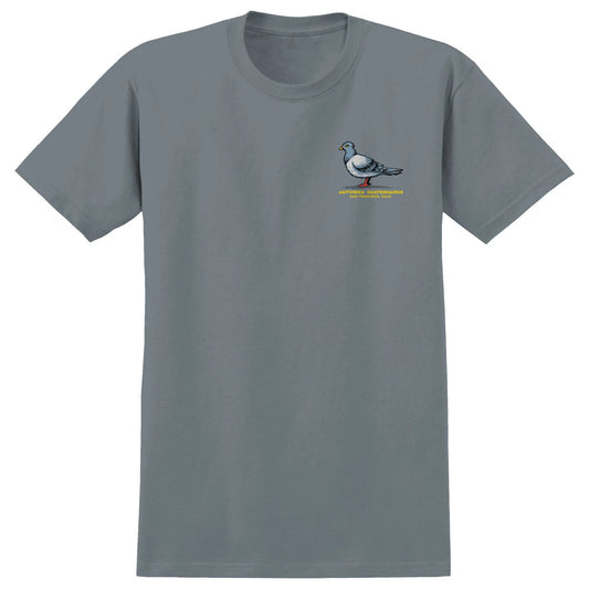 Antihero TEAM PIGEON SS M-GRANITE